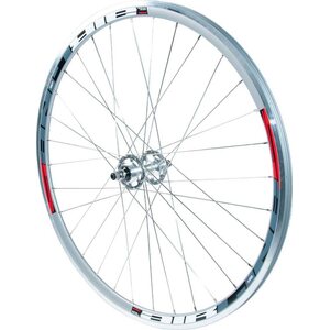 Bitex Rodi Airline - takakiekko - fix/free